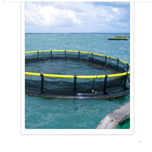 fish culture in net pen PE aquaculture fishing farming Cage