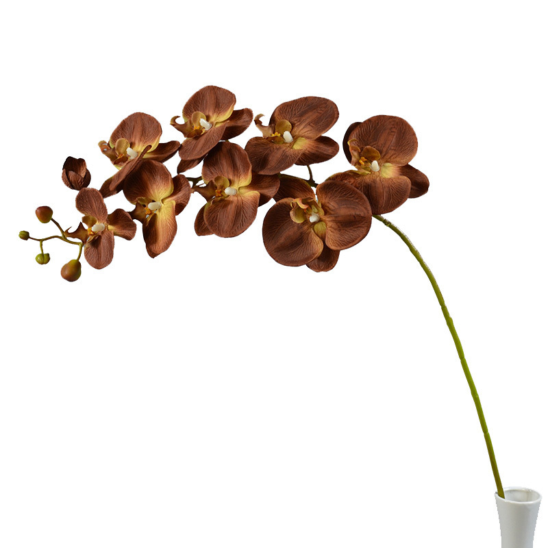 Hot-selling Property Artificial Silk 9 Heads Textured Phalaenopsis Single Branch Deep Coffee Butterfly Orchids For Decorations