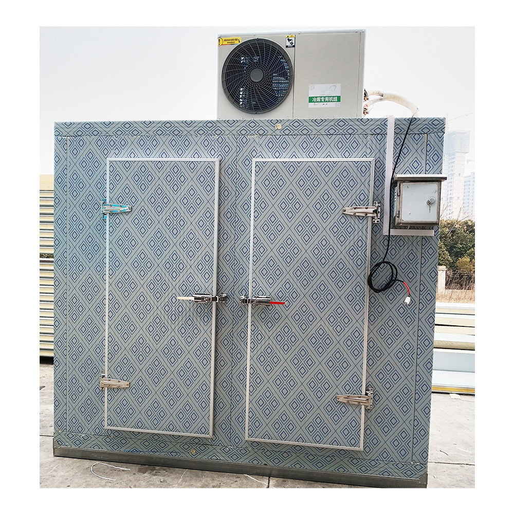 Frozen Meat Deep Freezer Blast Freezer for Sale Cold Room for Onion Potato Vegetables Fish Freezing Room Condensing Unit