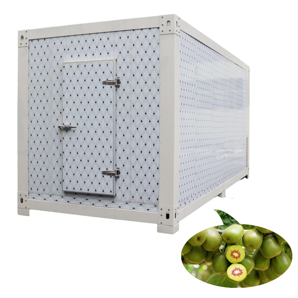 Mobile Cold Storage For Africa With Hot Promotion Insulated Sliding Hinged Door