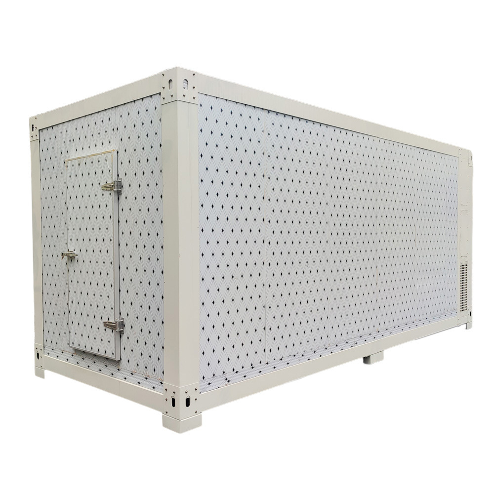 Mobile Cold Storage For Africa With Hot Promotion Insulated Sliding Hinged Door