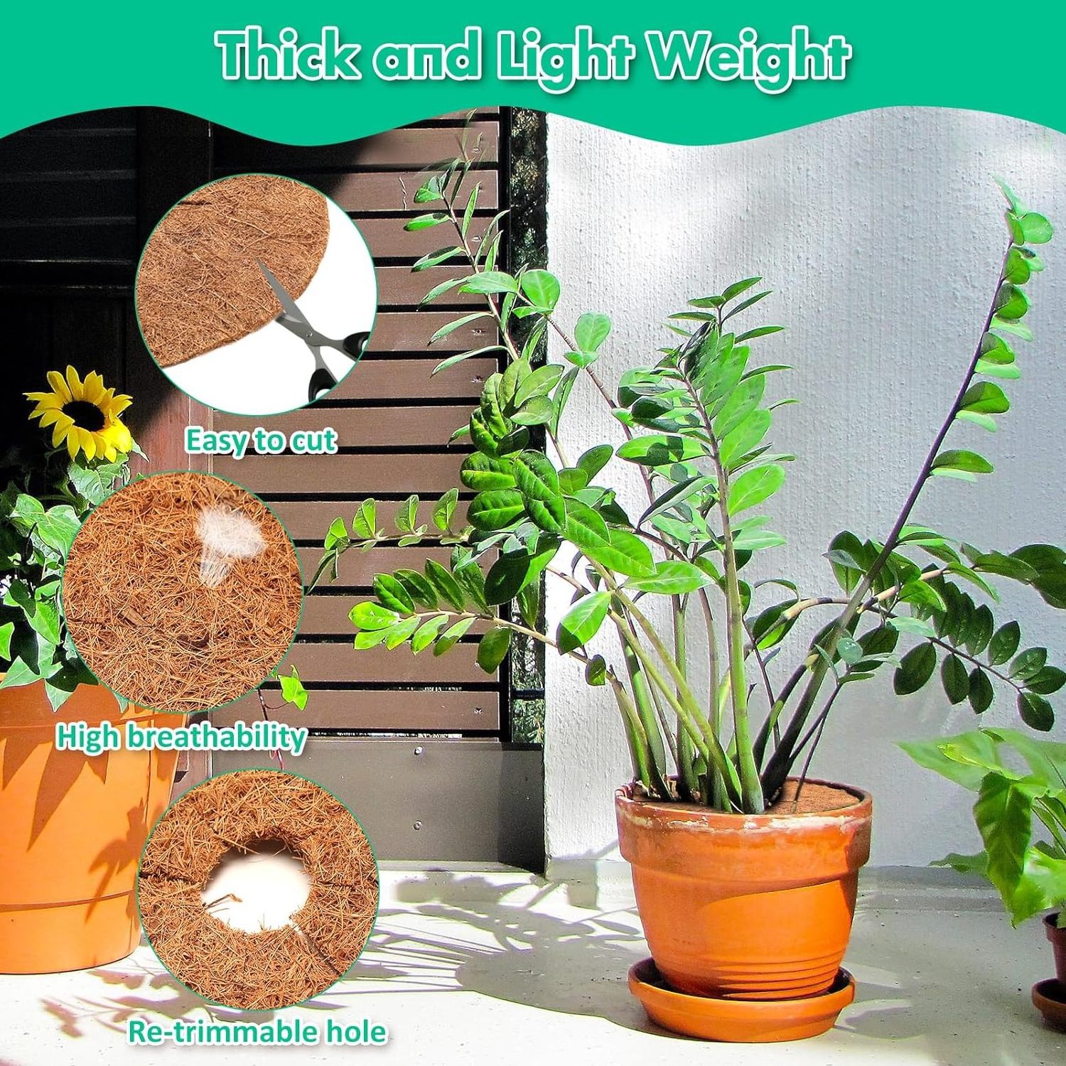 Wholesale 30 cm Natural Coconut Coir Disc Biodegradable Coconut Discs