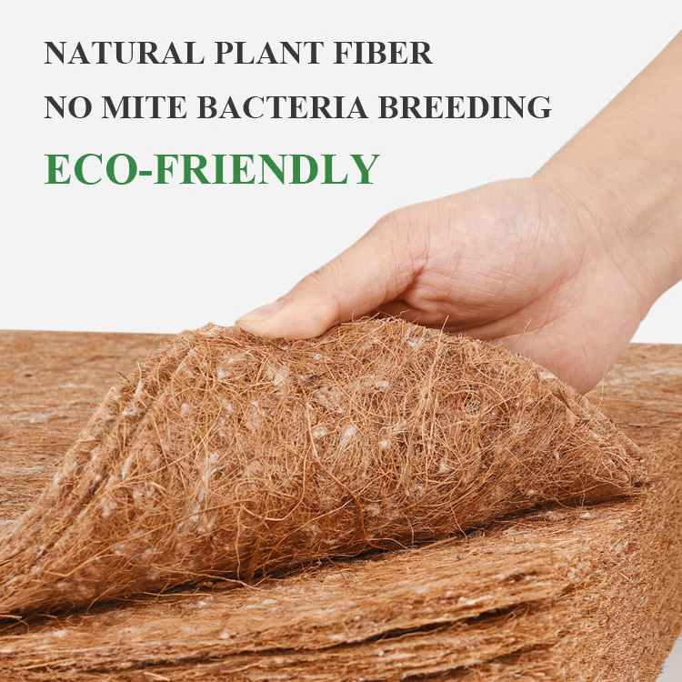 Hot Sale Coco Coir Coconut Palm Mattress Padding Roll for Mattress