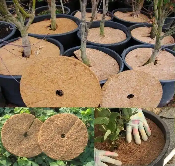 Coconut Fibers Mulch Ring Tree Protector Mat 12 Inch Coconut Coir Mulch Natural Weed Control Mats Tree Planter Disc Coconut Mat