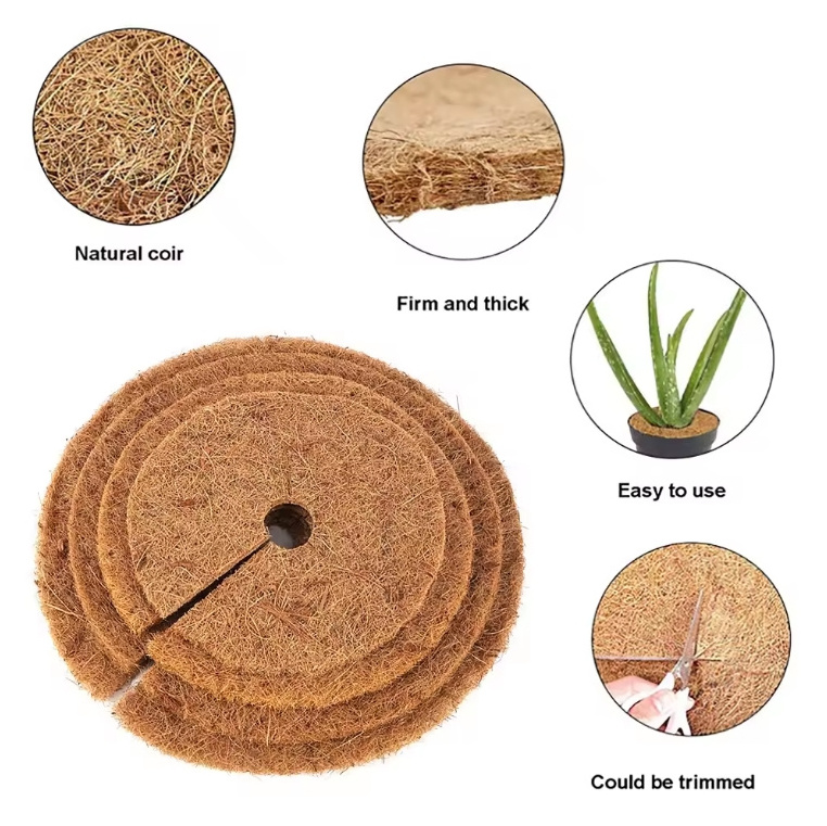 Wholesale 30 cm Natural Coconut Coir Disc Biodegradable Coconut Discs