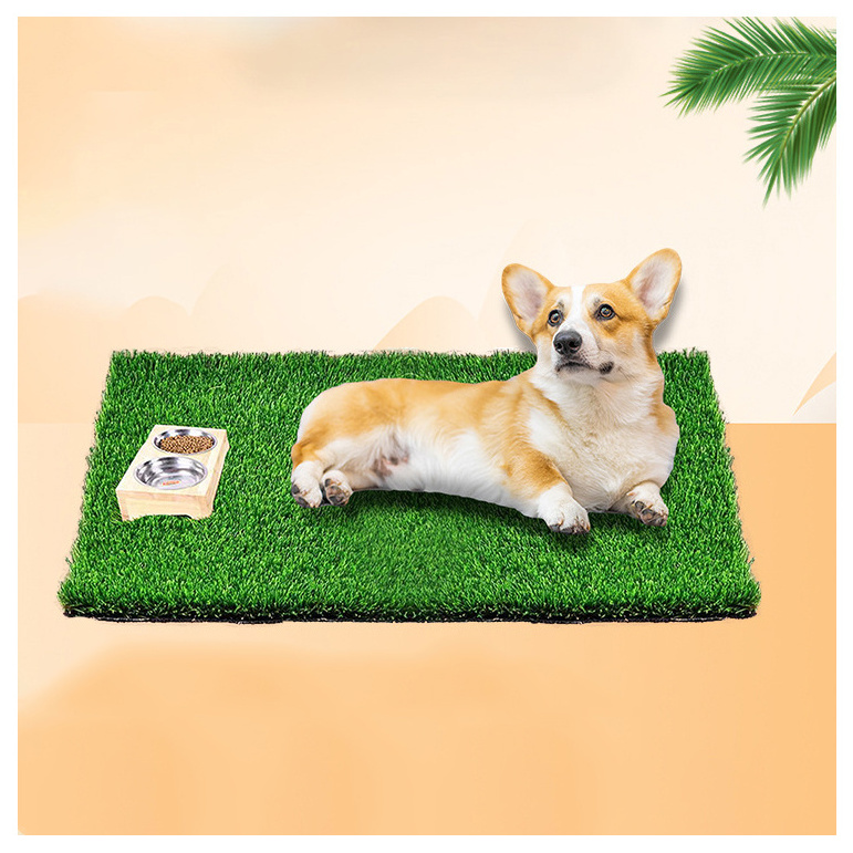 Lush Chinese Home Garden Oasis: The Best Artificial Grass for Your Pets