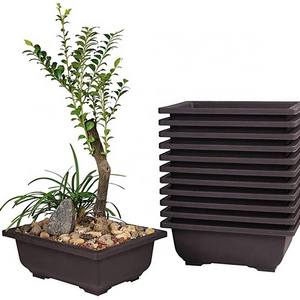 macetas para bonsai garden supplies wholesalers rectangle bonsai flower pot bonsai pots cheap