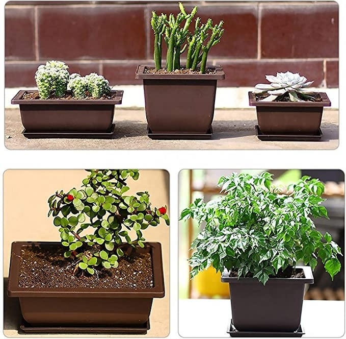 macetas para bonsai garden supplies wholesalers rectangle bonsai flower pot bonsai pots cheap