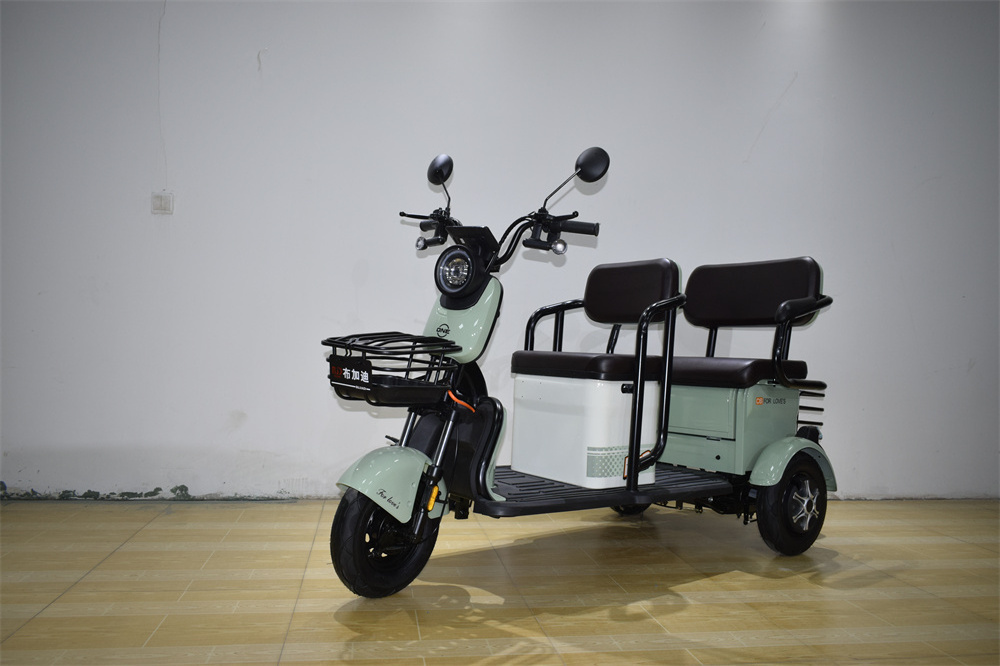 Factory Direct Price Low Price Mini Electric Tricycle Tricycle With Back Seat