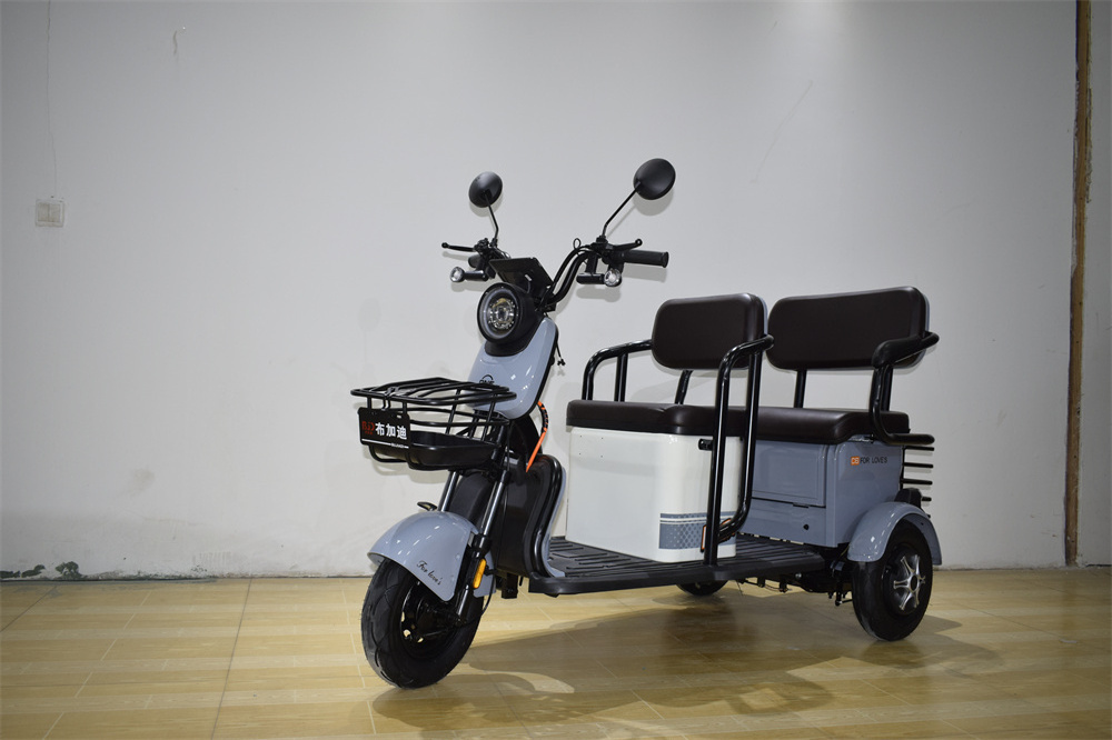 Factory Direct Price Low Price Mini Electric Tricycle Tricycle With Back Seat