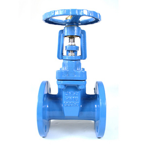 Tianjin High Performance Vale Pn10 Pn16 Os Y Looks Good Flanged Gate Valve for Water Standard Ductile Iron GGG40/50 CE Casting