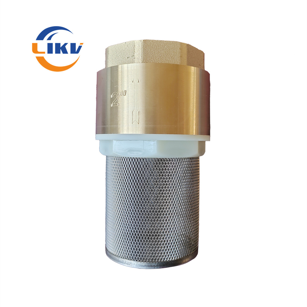 NPT BSP Female Thread ss Strainer Brass Vertical Lifting Check Valve Low Price