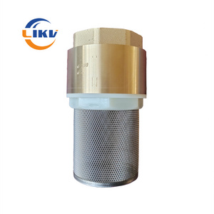 NPT BSP Female Thread ss Strainer Brass Vertical Lifting Check Valve Low Price