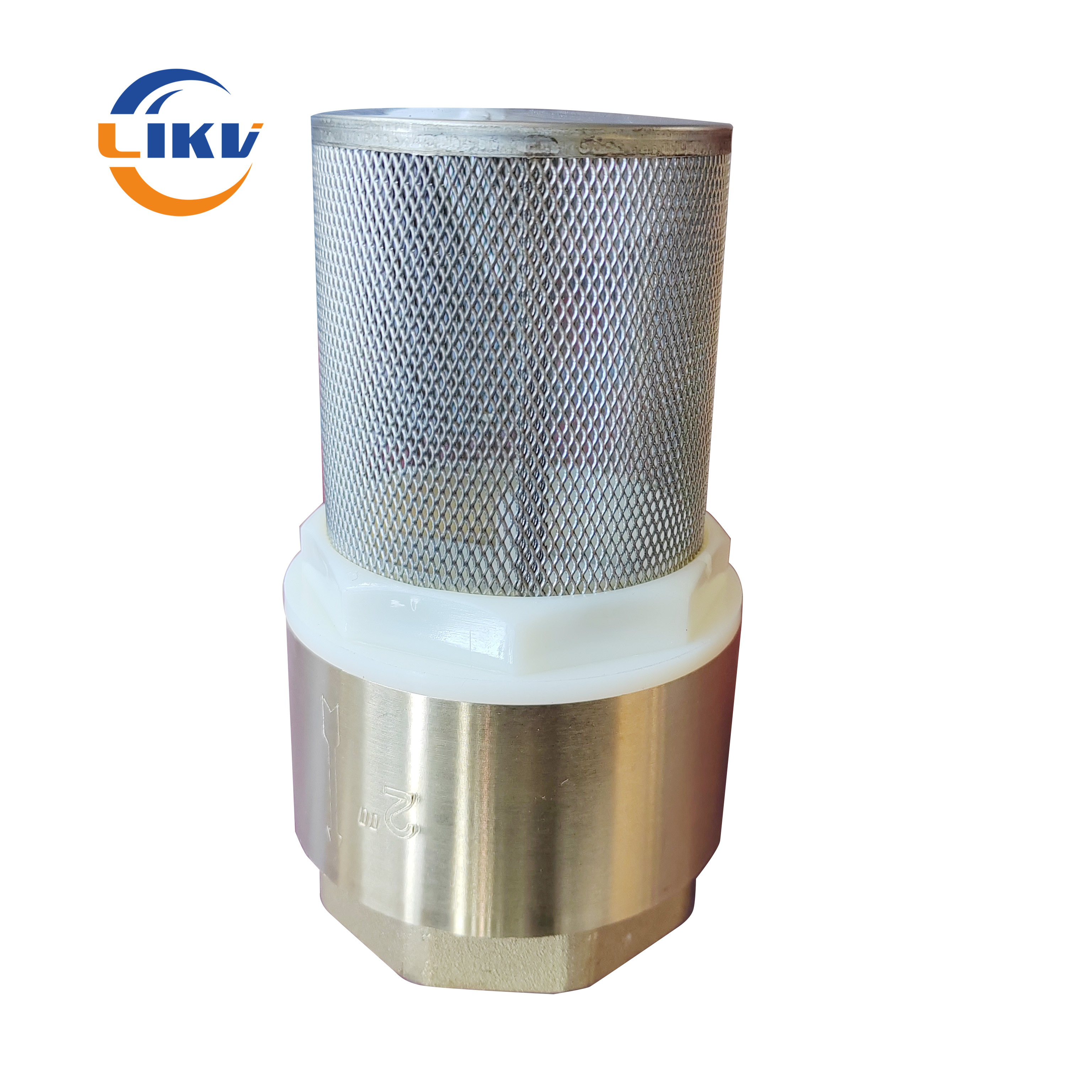 NPT BSP Female Thread ss Strainer Brass Vertical Lifting Check Valve Low Price