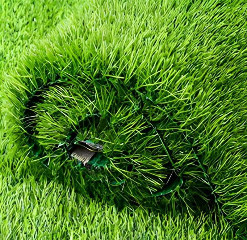 Football Soccer Field Golf Court Sports Turf Artificial Grass Landscaping Outdoor Play Carpet Natural Synthetic Turf