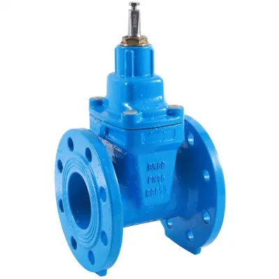 Stainless steel valve body/ Air Release Valve