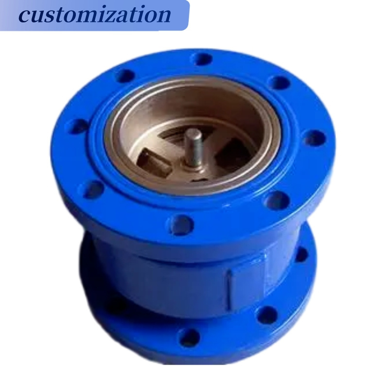 Hc41x Single One Way Vertical Ductile Iron Body Pn10 Pn16 Sump Pump Double Flange Muffler Silent Check Valve