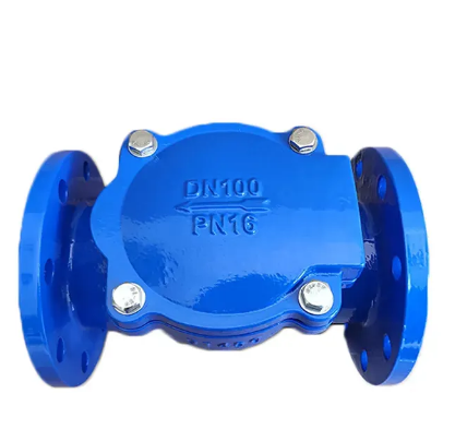 Factory GGG50 Ductile Iron Rubber Flap Check Valve Rubber Clack Check Valve