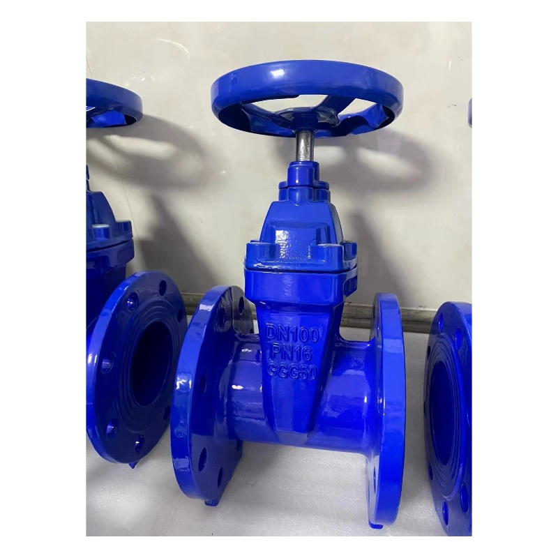 Pn16 DN50 DN600 Flange Cast Iron Wedge Gate Valves