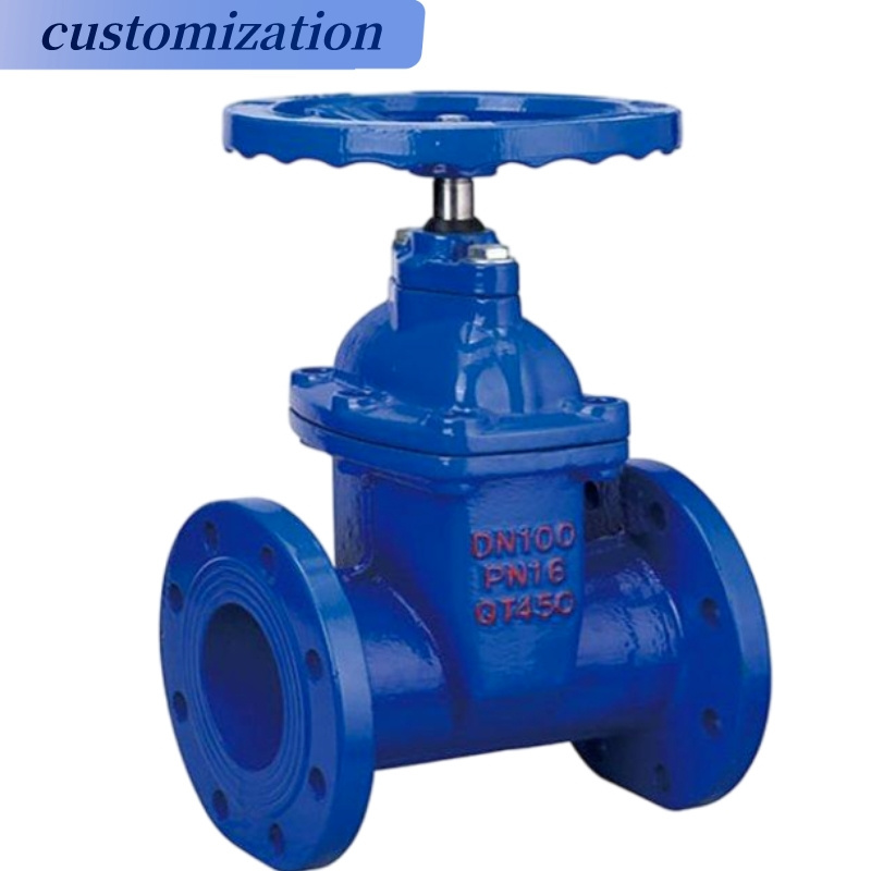 Pn16 DN50 DN600 Flange Cast Iron Wedge Gate Valves