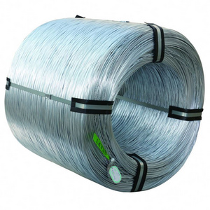 Hot Dipped Manufacturer Nylon Coated Binding Wire Galvanized Heavy Duty Metal Gi Steel Wire