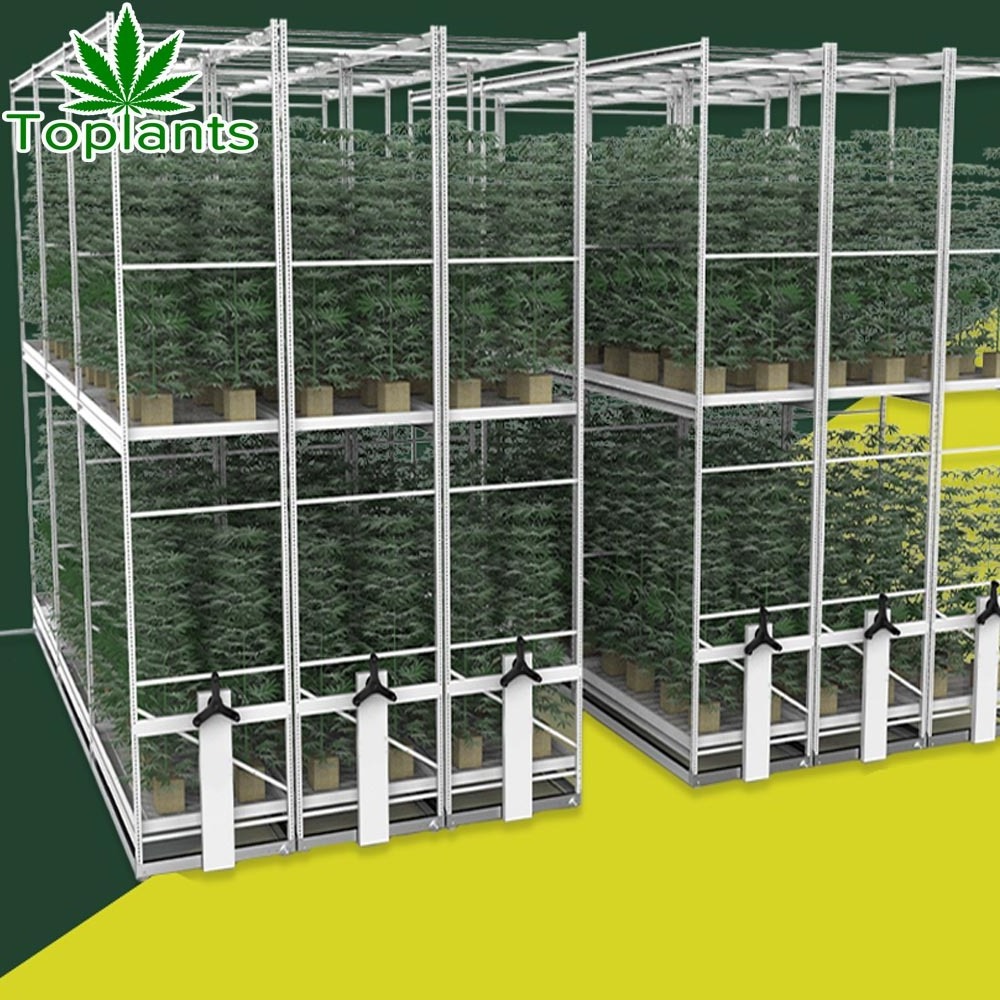 Hydrophonics vertical plant indoor mushroom mobile grow rack