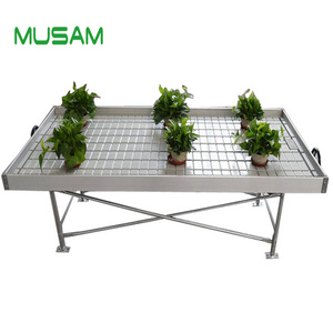 hydroponic greenhouse shelves growing table flood tray use for grow lettuce and other leafy vegetables