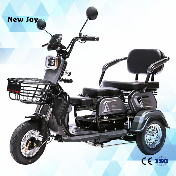 2024 Hot sales DETRITUS 600W/800W adult tricycle bicycles 3 wheels cargo bike 1000w handicap scooter