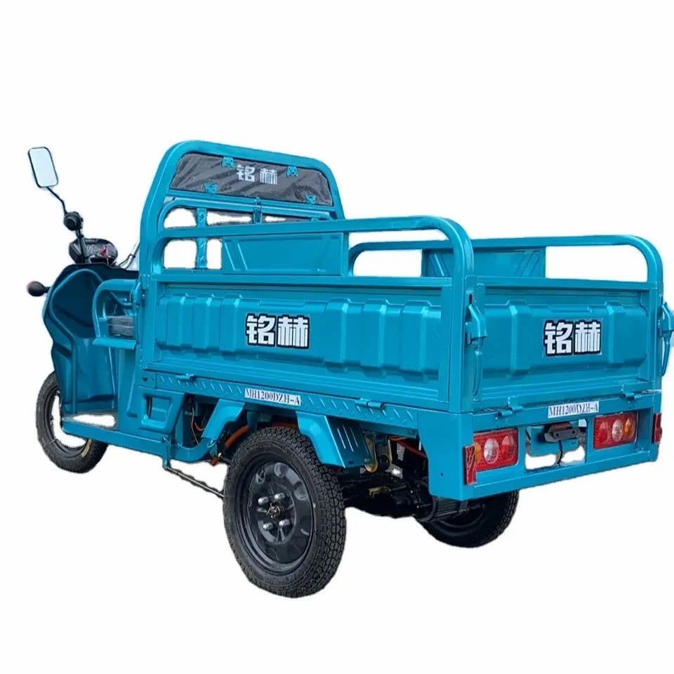 Factory customized Electric cargo tricycle electric rickshaw for cargo with good price  triciclo electrico