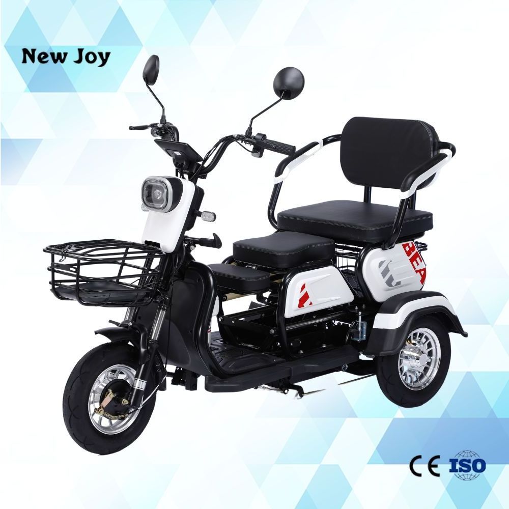 Factory Direct Sale DETRITUS 600W/800W Electric Tricycles Electric City bike 3 Wheel Electric Scooter  For Disabled Person