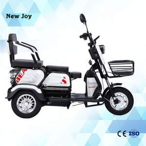 Factory Direct Sale DETRITUS 600W/800W Electric Tricycles Electric City bike 3 Wheel Electric Scooter  For Disabled Person