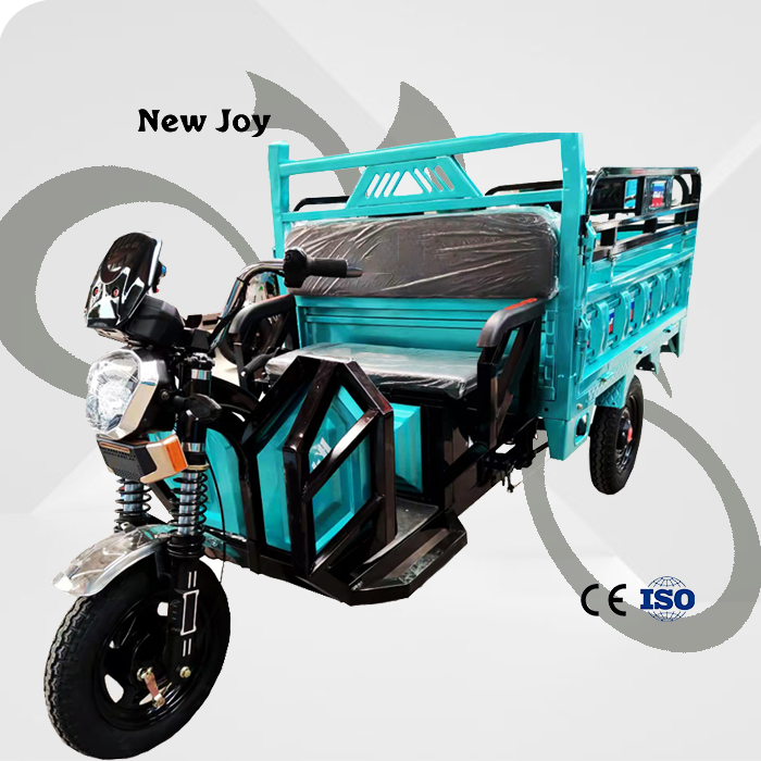 Factory customized Electric cargo tricycle electric rickshaw for cargo with good price  triciclo electrico