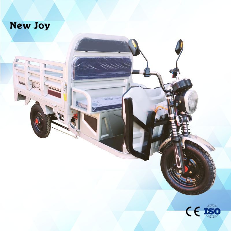 2024 Customizable DETRITUS 1000w 60v High-power Electric Tricycle Scooter Electric Triciclo For Adult