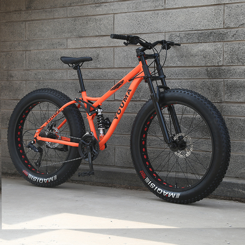 Factory Price 26/29 Inch 21 Speed snow bike Full suspension Fat Tyre bicycle Other Mountain Road Dirty Bike