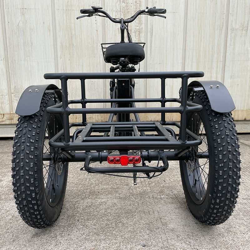 20 Inch Triciclo Electric Trike 750W Motor Fat Tire 3 Wheel E Bike Tricycle Three Wheels Adult Cargo Electric Bike With Basket