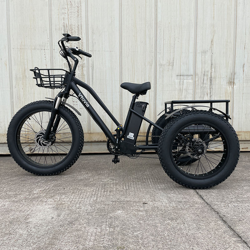 20 Inch Triciclo Electric Trike 750W Motor Fat Tire 3 Wheel E Bike Tricycle Three Wheels Adult Cargo Electric Bike With Basket