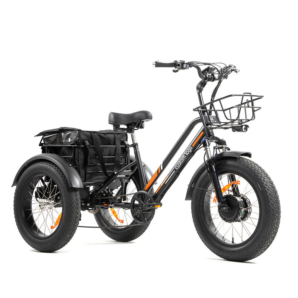 20 Inch Triciclo Electric Trike 750W Motor Fat Tire 3 Wheel E Bike Tricycle Three Wheels Adult Cargo Electric Bike With Basket