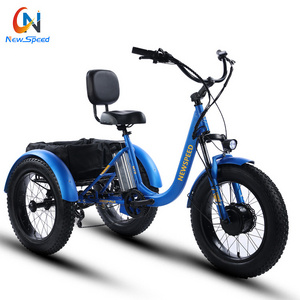 48v 500w 750w front drive motor three 3 wheel fat tire tyre cargo trike electric tricycle electric bike for man