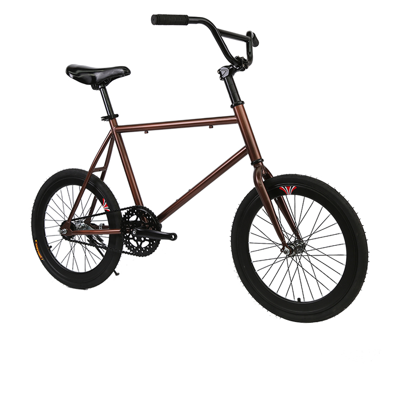 New design Steel 20 inches fixed gear bike / Fixie bicycle / Single speed dead fly bikes