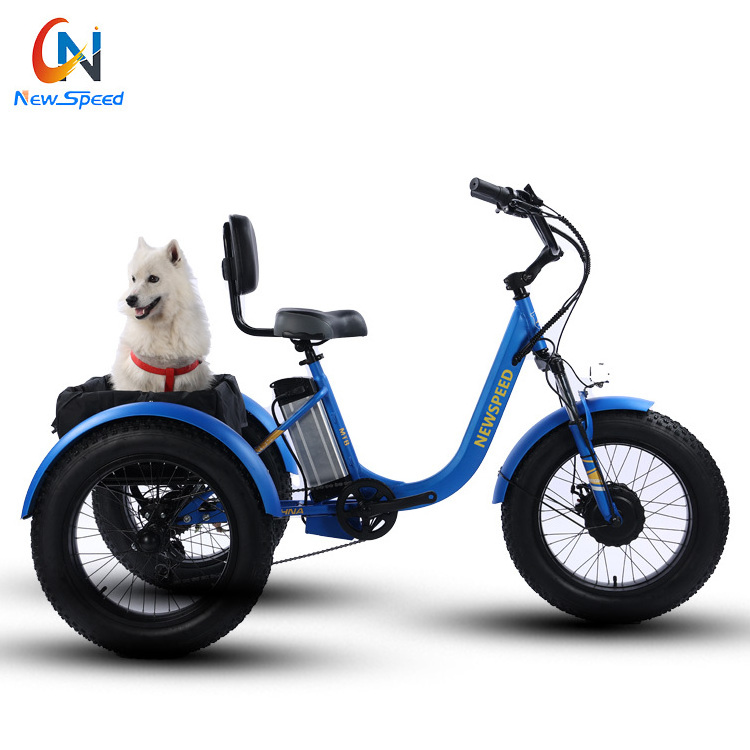 48v 500w 750w front drive motor three 3 wheel fat tire tyre cargo trike electric tricycle electric bike for man