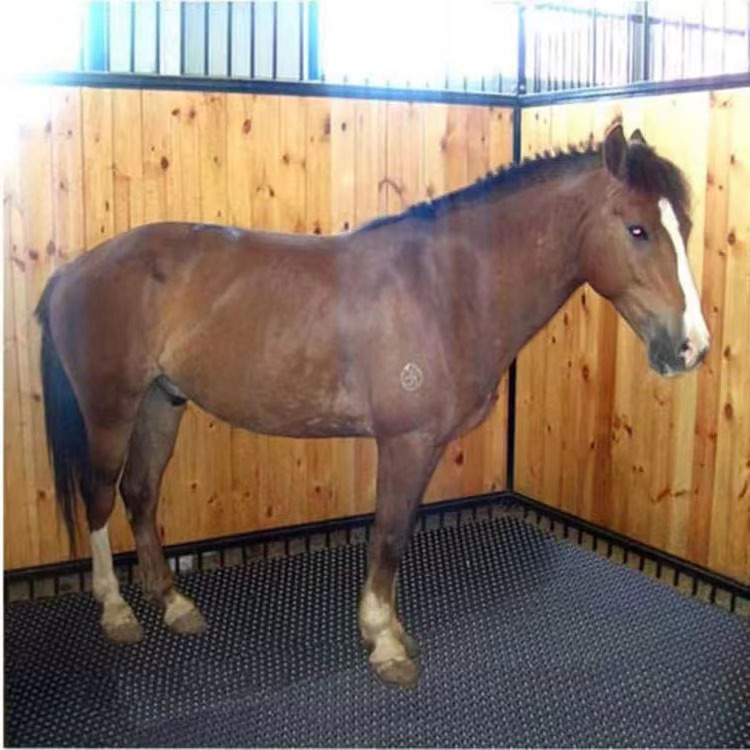 Horse Trailer Mat With Bars And Ribbed Surface Non slip Horse Trailer Ramp Safety Horse Trailers Ramp Mat