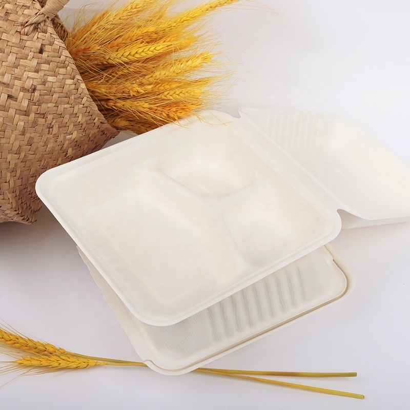 Biodegradable pulp  lunch box food container disposable with lid rectangle hot sale high quality customized