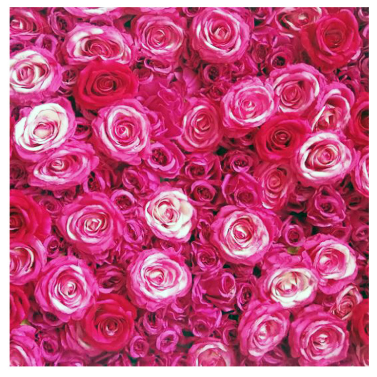 IFG  high quality pink  artificial flower wall panel