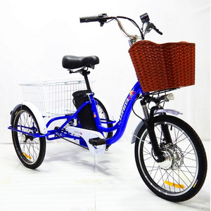 Hot Sale Russian 48V350W front hub motor electric cargo tricycle steel frame 3 Wheel 20*1.75 Electric Bike cargo e-tricycle