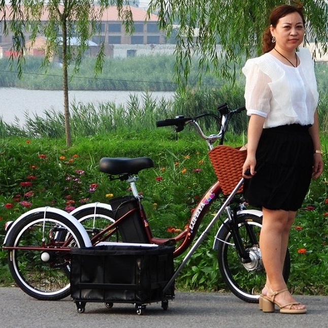 2024 new Three Wheeler Heavy Loading Adult 350W Motor cheap Bicycle City Electric Tricycles for Old Elderly People