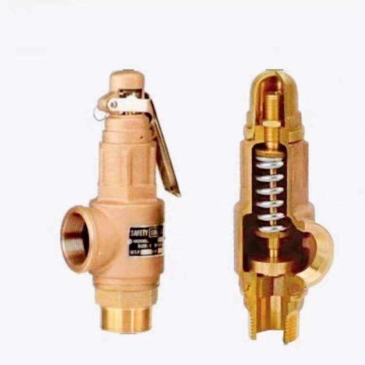 SAFETY BRONZE PRESSURE PRESSURE RELIEF VALVE S10 BRONZE PRESSURE RELIEF VALVE 3/4