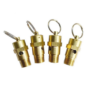 1/4" Male NPT Safety Valve Pressure Relief Valve Air Compressor Check Valve