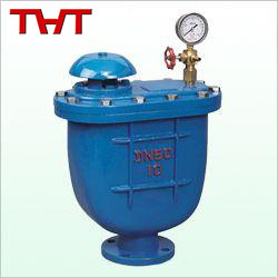 ductile iron composite auto vent valve