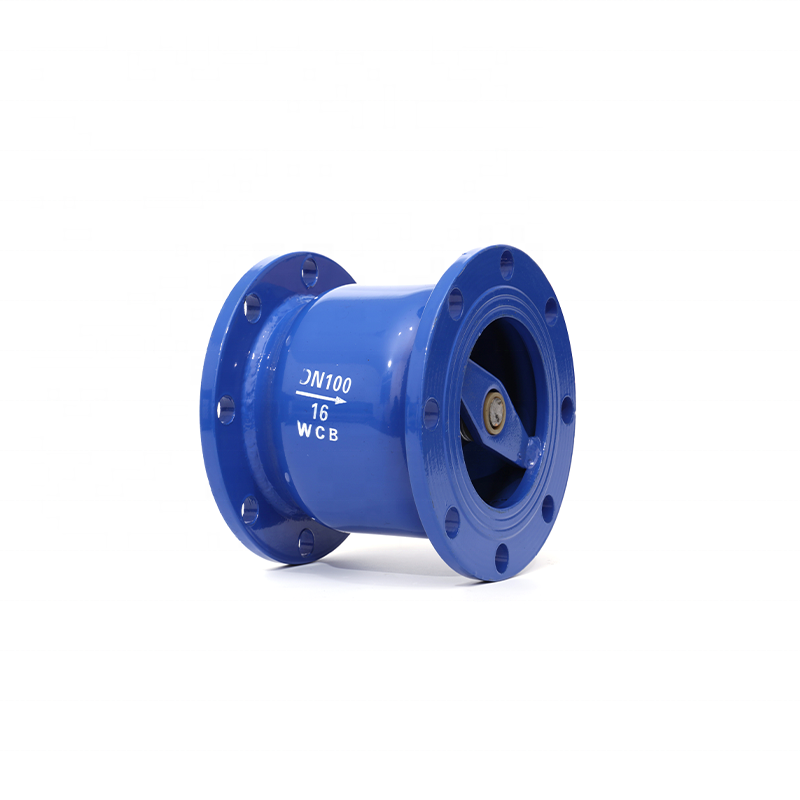 Ductile Iron Cast Iron Check Valve Standard Manual Flange One-Way Vertical Check Valve Flange Silent Check Valve