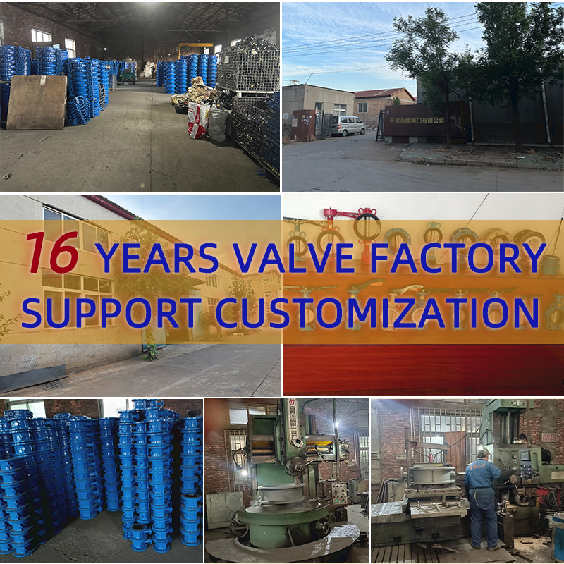 Ductile Iron Cast Iron Check Valve Standard Manual Flange One-Way Vertical Check Valve Flange Silent Check Valve